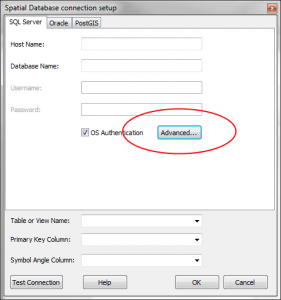 SQL Server layer advanced settings